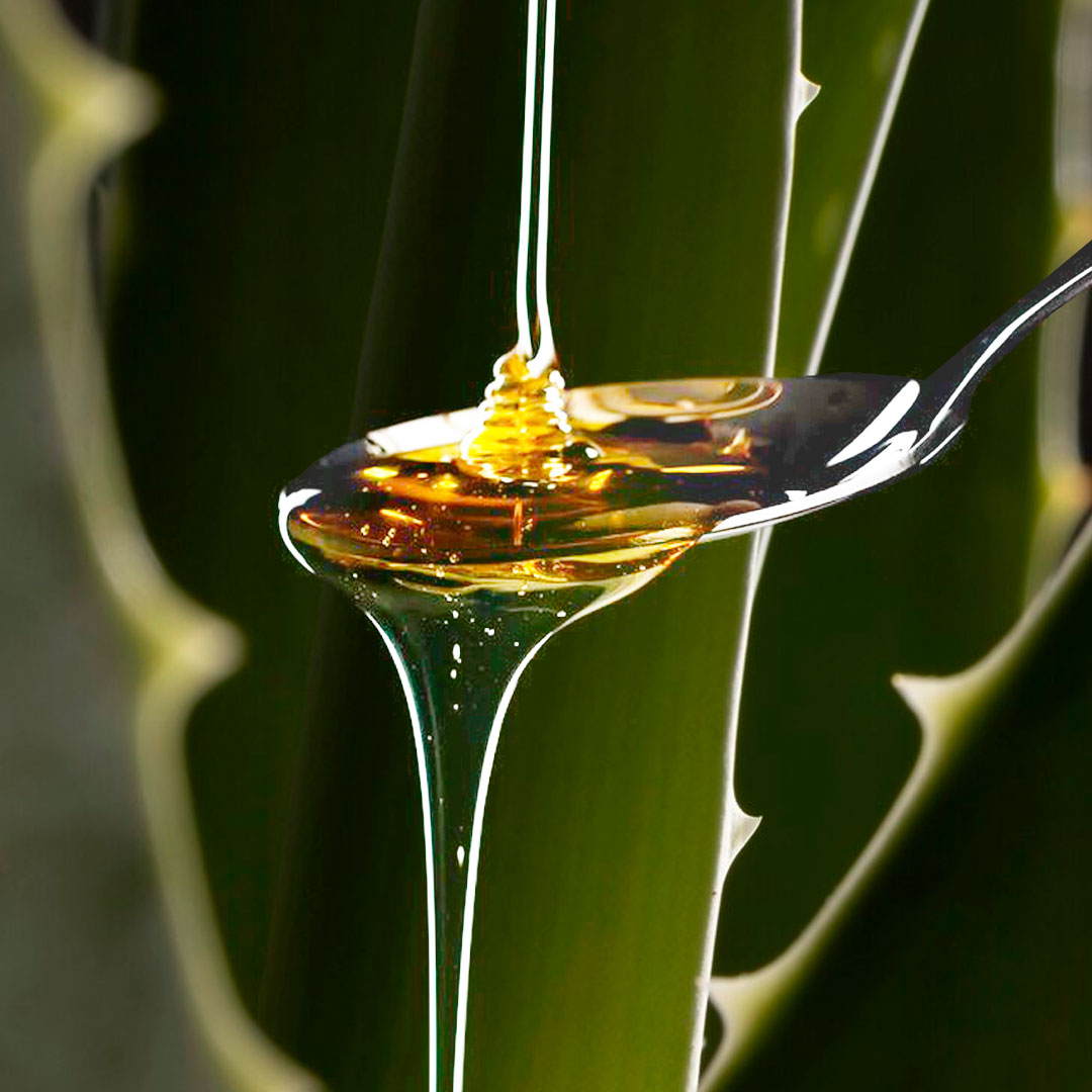 Miel de agave